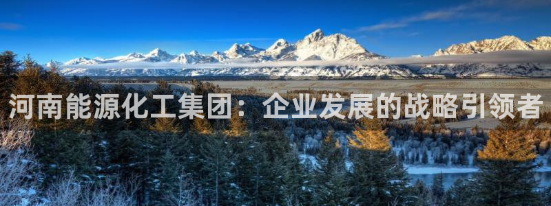 球盟会官方网页登录：河南能源化工集团：企业发展的战略引领者