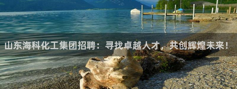 球盟会：山东海科化工集团招聘：寻找卓越人才，共创辉煌未来！