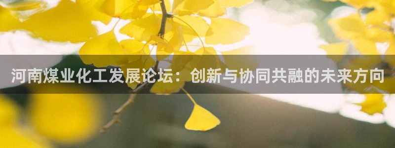 球盟会qmh - 球盟会官方网站：河南煤业化工发展论坛：创新