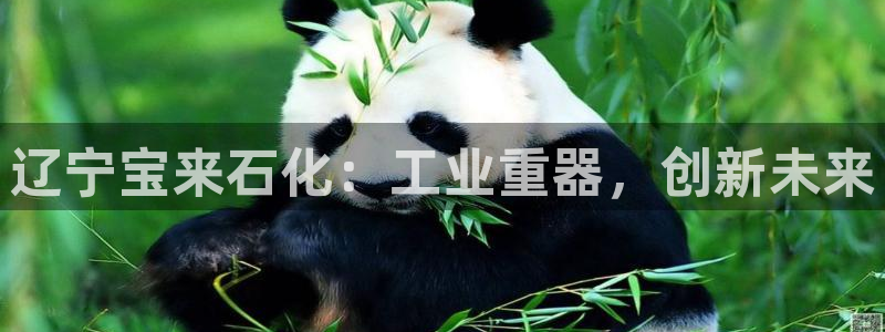 球盟会APP最新地址：辽宁宝来石化：工业重器，创新未来