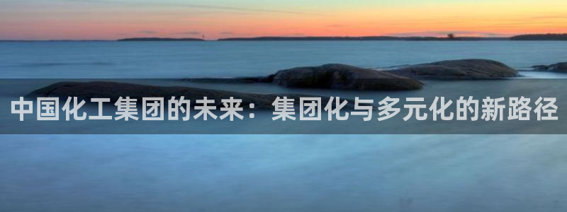球盟会进不去吗：中国化工集团的未来：集团化与多元化的新路径