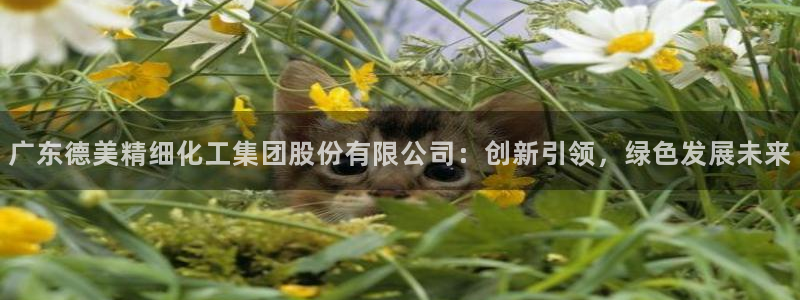 球盟会登录网址：广东德美精细化工集团股份有限公司：创新引领，